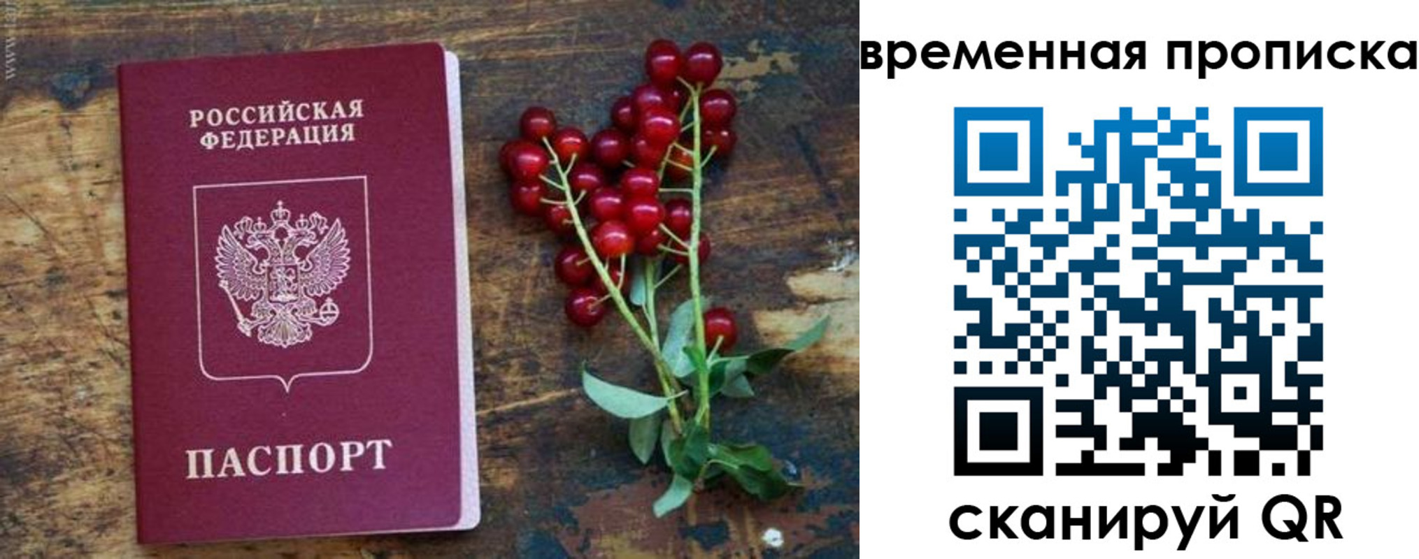 временная регистрация гарантия в Златоусте